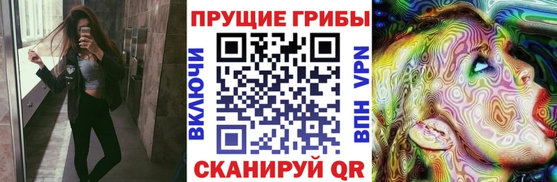 Купить закладки  Михайловка  Псилоцибиновые грибы прущие грибы 